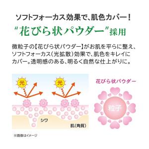 ミュウ フィニッシングパウダー ナチュラル つ...の詳細画像2