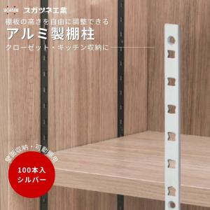 棚柱 可動棚 DIY 壁面収納 スガツネ AP-DM1820 1820mm 1本 全4色
