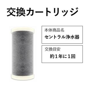 交換カートリッジ セントラル セントラル浄水器 ステンレス浄水器 浄水器 ビューク beaq 公式ストア ドリームバンク 正規品 日本製 メーカー直販/DS005036｜jousuikidb