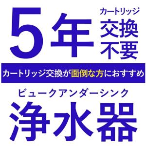 アンダーシンク浄水器 専用水栓付 5年間 カー...の詳細画像1
