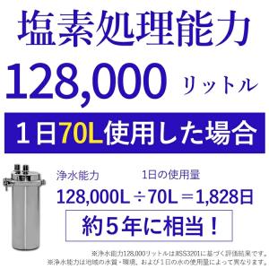 アンダーシンク浄水器 専用水栓付 5年間 カー...の詳細画像2