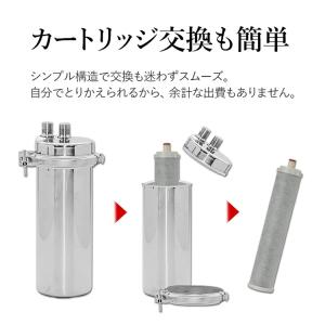 アンダーシンク浄水器 専用水栓付 5年間 カー...の詳細画像5