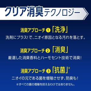 2袋 KAO 花王 ワイドハイター 消臭専用ジ...の詳細画像4