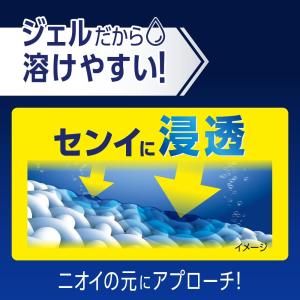 2袋 KAO 花王 ワイドハイター 消臭専用ジ...の詳細画像5