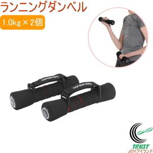 スカイウォーカー IMC-18S 送料無料 トレーニング用品 フィットネス