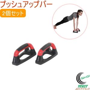 スカイウォーカー IMC-18S 送料無料 トレーニング用品 フィットネス