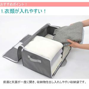 出し入れ簡単がばっと収納袋II Lサイズ 1個...の詳細画像1