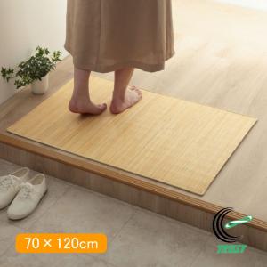 天然ラタンカーペット ジャワ 籐むしろ マットタイプ 60×90cm 送料無料