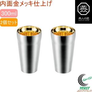 ダブルタンブラー 300ml 2個セット ET-1200 日本製 燕三条産 送料無料