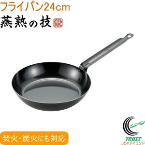 よこやま 燕熟の技 プロスタイル フライパン 16cm EJTP-200 送料無料