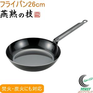 よこやま 燕熟の技 プロスタイル フライパン 16cm EJTP-200 送料無料