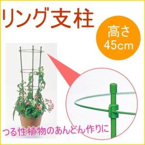 リング支柱 45cm 1個入 園芸 ガーデニング...の商品画像