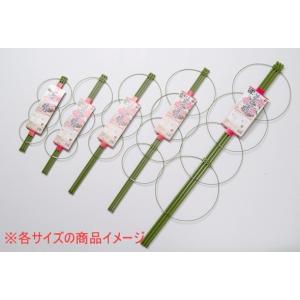 リング支柱 45cm 1個入 園芸 ガーデニン...の詳細画像1