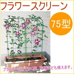 フラワースクリーン 75型 1個入 園芸 ガーデニング 家庭菜園 観葉植物 高級な 支柱 土 プランター 鉢 野菜 栽培 簡単 便利