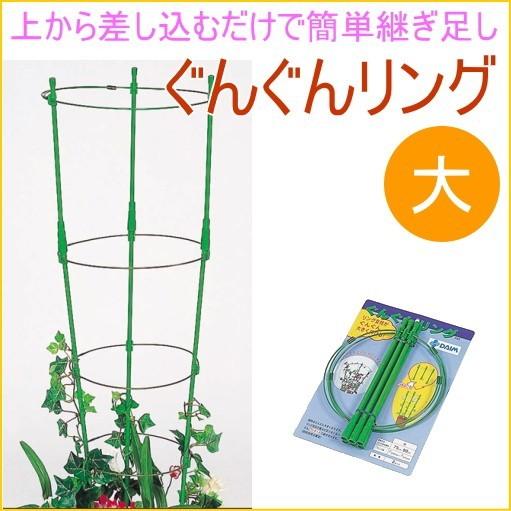 ぐんぐんリング 大 2セット入り 園芸 ガーデニング 家庭菜園 観葉植物 支柱 土 野菜 栽培 簡単...