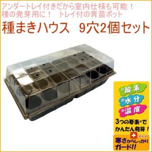 BlumWay 育苗ポット 育苗トレイ 5個セット 12穴 植物育成ライト付き