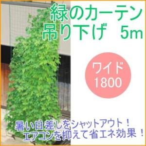 緑のカーテン 5m ワイド1800 吊下げタイプ 園芸 ガーデニング 家庭菜園 庭 グリーンカーテン...