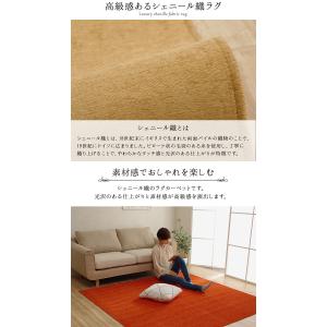 洗える撥水加工ラグ モデルノ 1畳 90×18...の詳細画像2