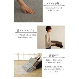 洗える撥水加工ラグ モデルノ 1畳 90×18...の詳細画像4