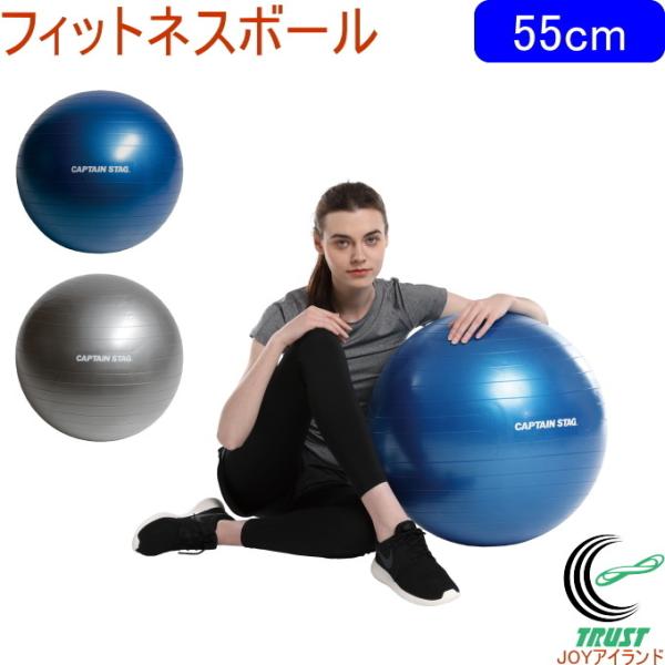 キャプテンスタッグ Vit Fit フィットネスボール 55cm 全2色 ストレッチ 運動 エクササ...