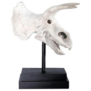 トリケラトプスの頭骨 / Triceratops Skull on Base　fr080046RS｜joy-joy