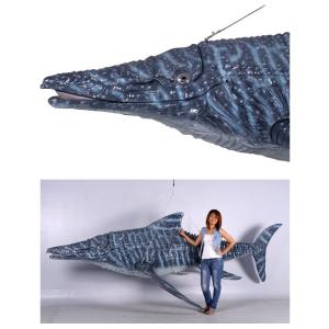 イクチオサウルス / Ichthyosaur fr140075｜joy-joy