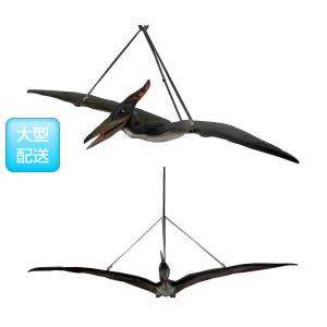 ベビープテラノドン / Baby Pteranodon　　fr110062｜joy-joy