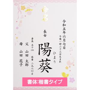 命名書 命名紙 女の子用 ピンク A4 ラミネ...の詳細画像1