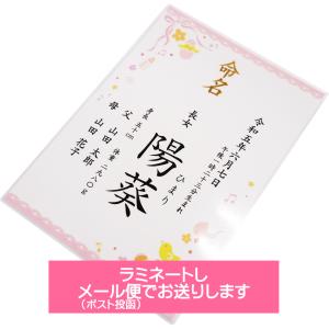 命名書 命名紙 女の子用 ピンク A4 ラミネ...の詳細画像4