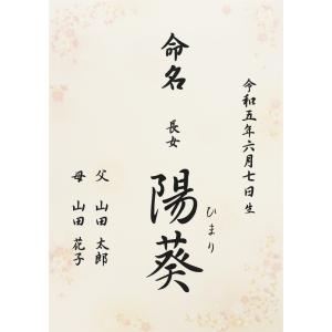 命名書 命名紙 さくら A4 ラミネート[お名前...の商品画像