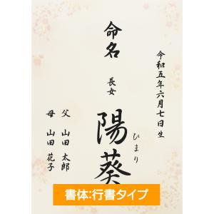 命名書 命名紙 さくら A4 ラミネート[お名...の詳細画像2