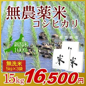 農薬無使用米 新潟 コシヒカリ 無洗米 15kg(5kg×3袋)／米 お米 新潟米 アイガモ米 自然栽培 無農薬 有機肥料 岩船産コシヒカリ 白米 精米 高級米｜joy-life