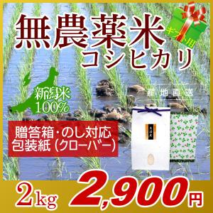 【ギフト用・農薬無使用米コシヒカリ 2kg】包装紙：クローバー のし対応 贈答箱入り[母の日 父の日 お祝い 御礼 プレゼント ギフト米]｜joy-life