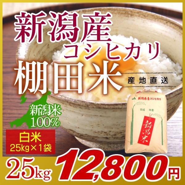 新潟コシヒカリ 白米 25kg／米 お米 新潟 コシヒカリ こしひかり 新潟米 棚田米 おいしいお米...