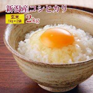 コシヒカリ 新潟コシヒカリ 玄米 3kg(1kg×3袋)/新米 令和6年産 コシヒカリ 新潟コシヒカリ 玄米 3kg(1kg×3袋)/新米 令和6年産