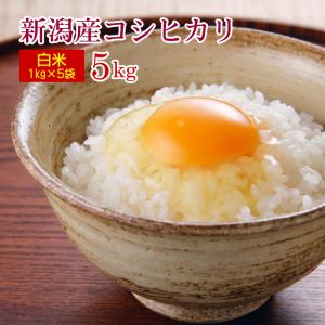 コシヒカリ 【青米・小米・くず米 25kg(特別栽培米・減農薬米)】鳥の