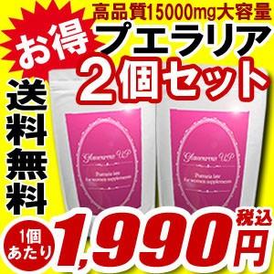 プエラリア サプリ バスト サプリメント グラマラス アップ 《２個セット》送料無料