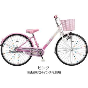 ブリヂストン エコパル 2021年モデル 22...の詳細画像1