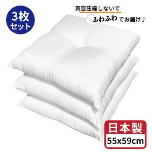 ヌード座布団 ５５×５９ｃｍ 3枚セット 日本製 ヌード