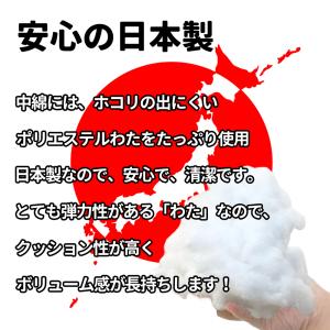 わた入 ヌード 座布団 中身 55×59cm ...の詳細画像3