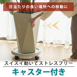 【ポイント10倍】 【360度自由に移動】 植...の詳細画像2