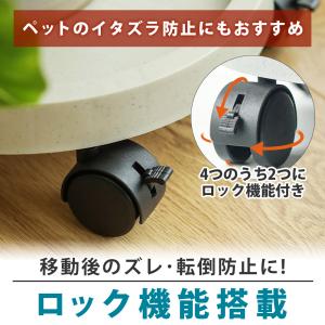 【ポイント10倍】 【360度自由に移動】 植...の詳細画像3