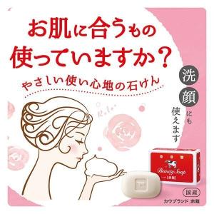 熨斗ラッピング包装OK 90g 1箱/6個入 ...の詳細画像2