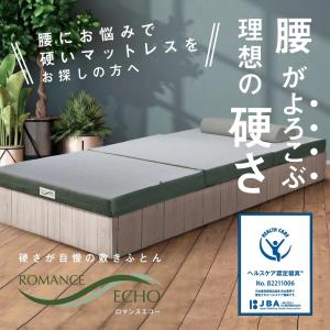 日本ヘルス工業 ヘルスロールキング（シングル）ヘルスロール