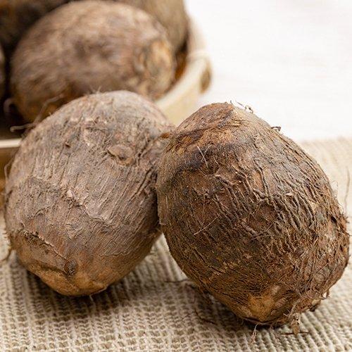 11月25日までご注文受付 料理好き絶賛 極上のねっとり美味 おせち・お鍋にぴったり サイズL〜2L...