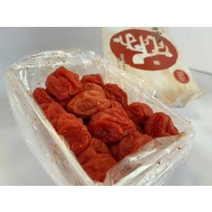 辛子梅太子約180g ギフト 紀州みなべ産 南...の詳細画像3