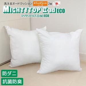 日本製 防ダニ 抗菌防臭 背当ヌードクッション 2個セット 50×50cm