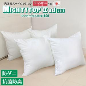 日本製 防ダニ 抗菌防臭 背当ヌードクッション 2個セット 50×50cm