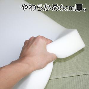 5枚組 ヌード ウレタン座布団 銘仙判 50×...の詳細画像1