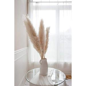 パンパスグラス 花瓶の商品一覧 通販 Yahoo ショッピング